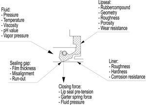 factors-affecting-the-functioning-of-the-lip-seal