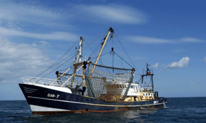 vgp-fishing-vessels